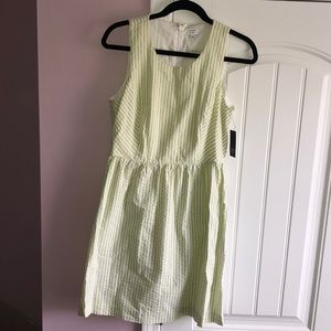 NWT Crown & Ivy Seersucker Dress
